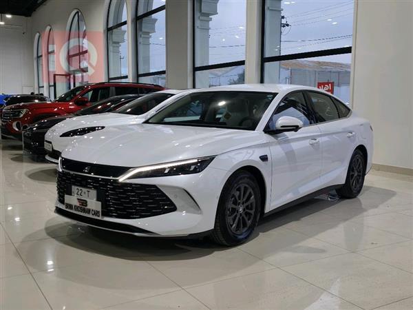 بی وای دی کوێن L DM-i 2025  بۆ فرۆشتن لە عێراق - هەولێر